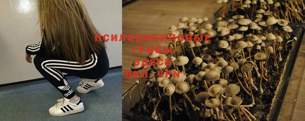 jwh Верхний Тагил